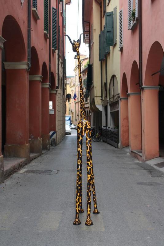 Giraffa nera