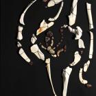 Clandestina, 2012 -150x50 cm - sassi e ossa levigati dal mare e cuciti su tela